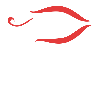 Addpro Network Pvt. Ltd. logo