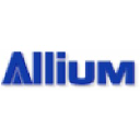 Allium