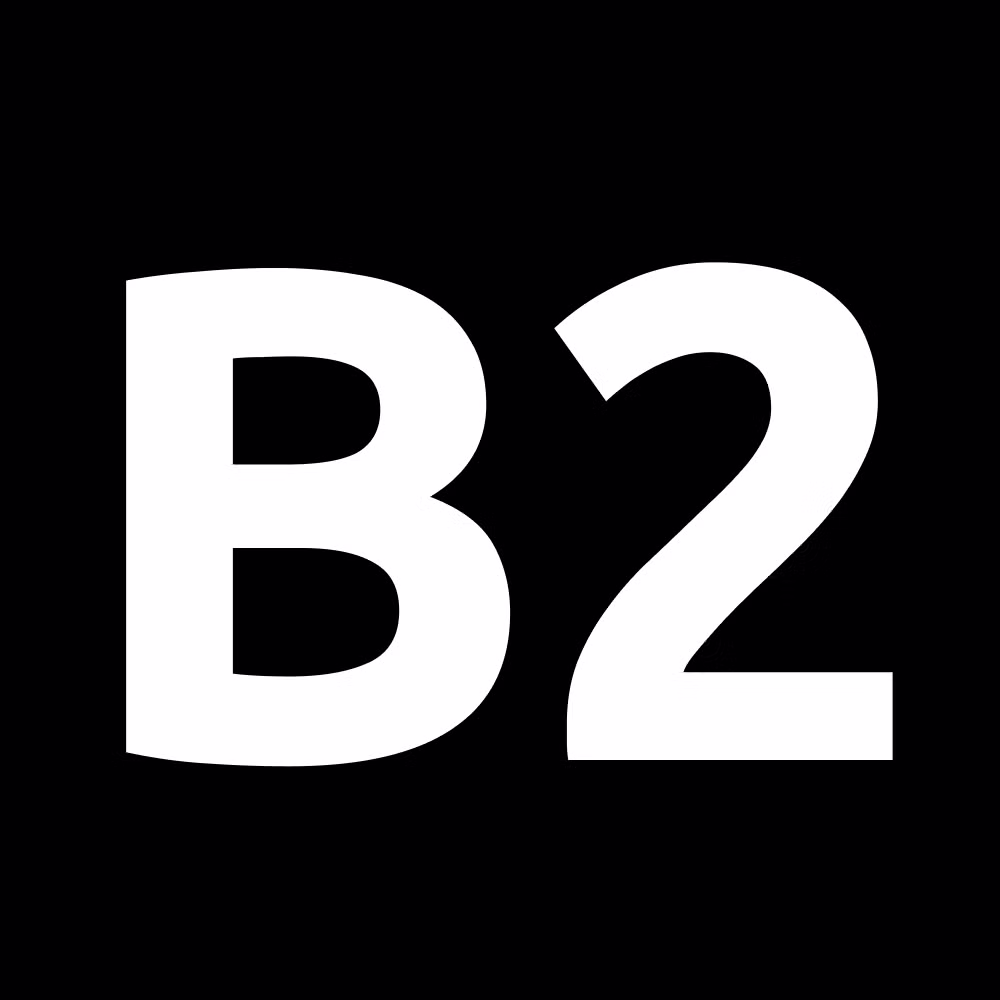 B2spin