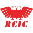 BCIC Karnataka logo