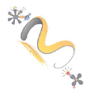 Black Pepper Event P logo