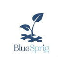 bluesprigpediatrics