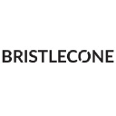 Bristlecone India logo