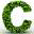 chsi