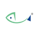 cisintl