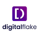 DigitalFlake logo