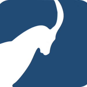 ENGIBEX