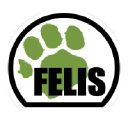 Felis Creations logo