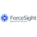 ForceSight logo