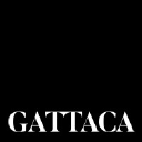 Gattaca Plc