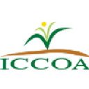 ICCOA logo