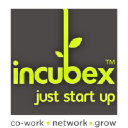 Incubex logo