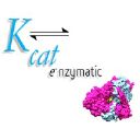 Kcat Enzymatic logo
