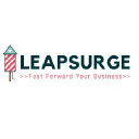 By Leapsurge logo