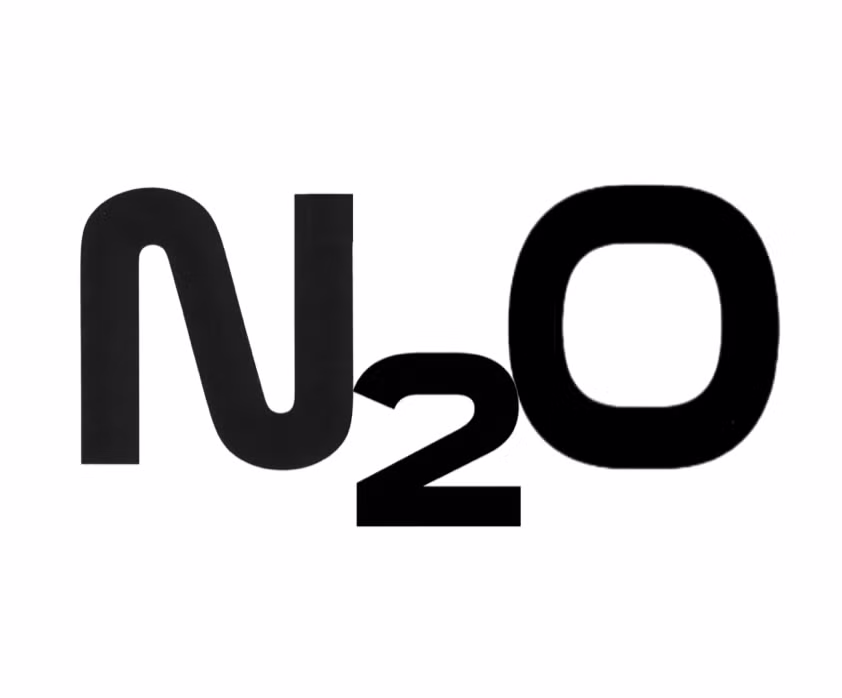 N2O