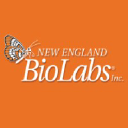 Neb