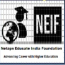 Netaps Foundation logo