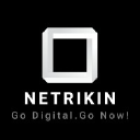 NETRIKIN logo