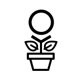 Palumni VC venture capital firm logo