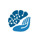 Plexus logo