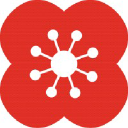 Poppy