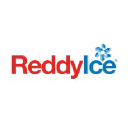 Reddyice