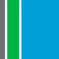 RSM Stone Forest IT logo