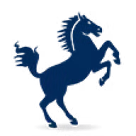 S Capital investor & venture capital firm logo