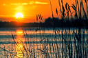 SOLAR SOLUTIONS LTD