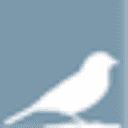 sparrowliving