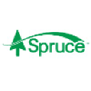 spruce