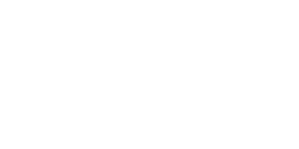 Steco logo