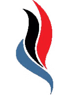 TheNFAPost logo