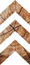 Trasol Events logo
