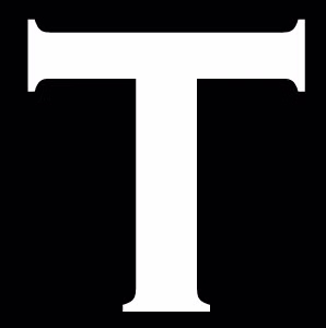 TYCOONSTORY logo
