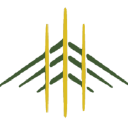 Varchas Aerospace logo