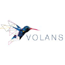 volans
