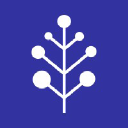 AirTree Ventures investor & venture capital firm logo