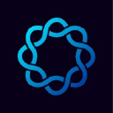 Delphi Digital investor & venture capital firm logo