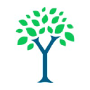 Elm Street Ventures investor & venture capital firm logo