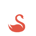 Red Swan Ventures venture capital firm logo