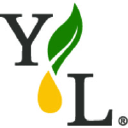 youngliving