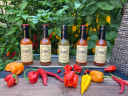 Zamm'Z Hot Sauce logo